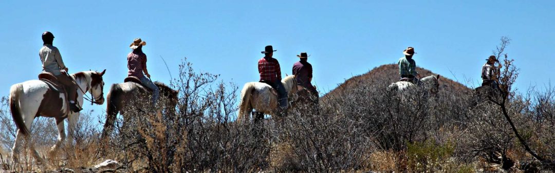 Horse trail ride & Western BBQ