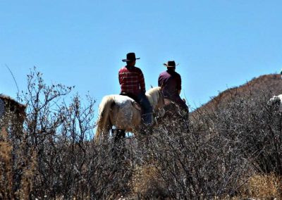 Horse trail ride & Western BBQ